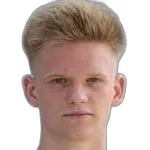 N. Zdichynec