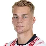 P. Lienhart
