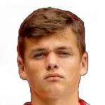 D. Višinský