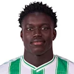 N. Mendy