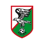 Sokół Kleczew