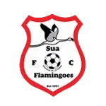 Sua Flamingoes