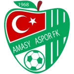Amasyaspor 1968