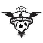 Halcones Negros